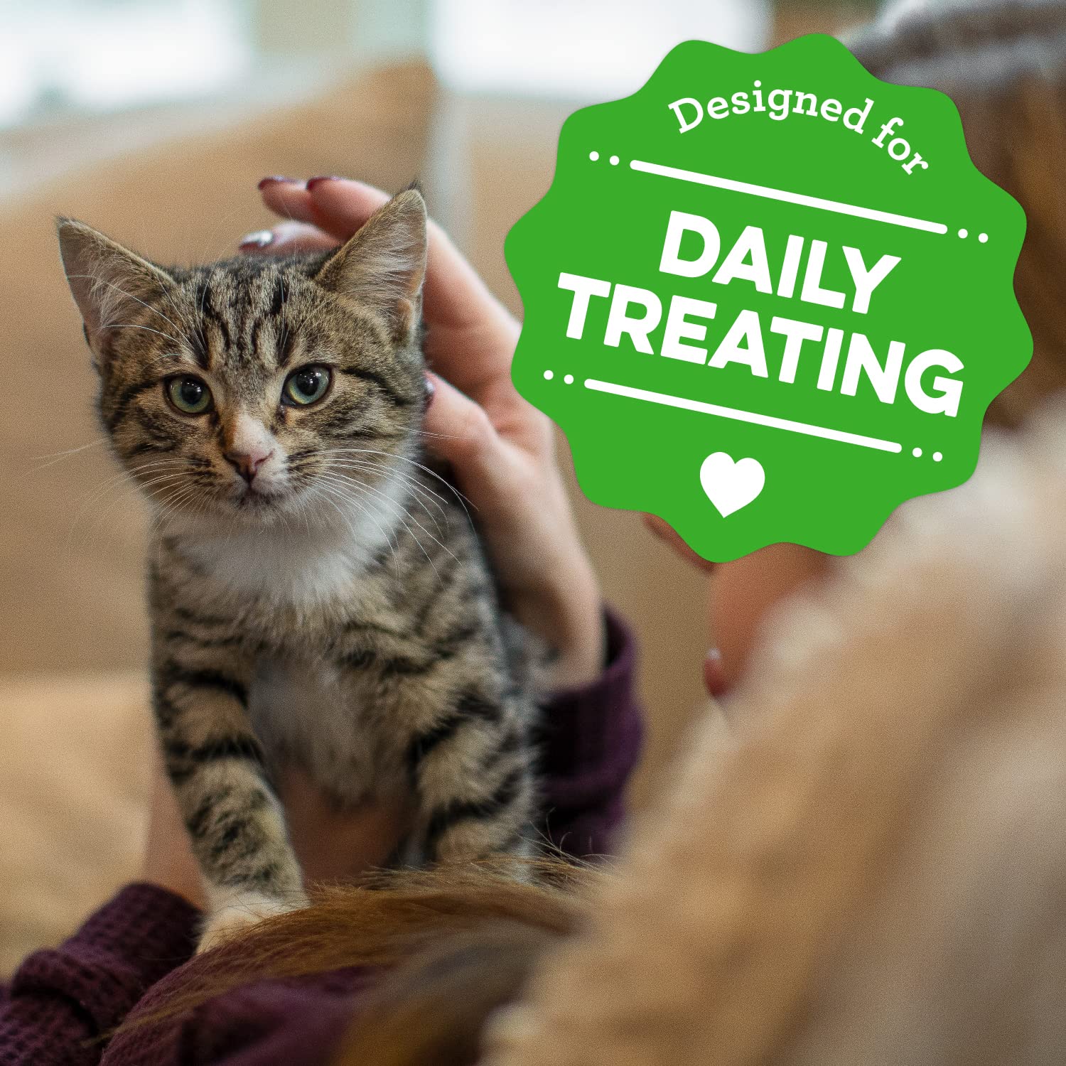 Foto 8 pulgar | Pollo Saludable Kitten Treats Greenies Feline Smartbites, 60 G - Venta Internacional.