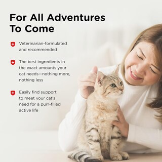 Foto 7 | Gel Para Patas Nutri-vet Feline Uri-ease Con Arándanos Y Uvas De Oregón - Venta Internacional.