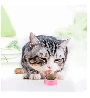 Foto 5 | Bola Giratoria De Catnip Slim Company Juguete Interactivo De Hierba Gatera Atrayente Para Mascotas Gatos Adhesivo Co