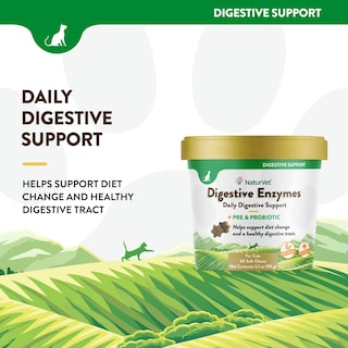 Foto 4 | Enzimas Digestivas Para Gatos Naturvet Plus Probiotics 60 Soft Chews - Venta Internacional.
