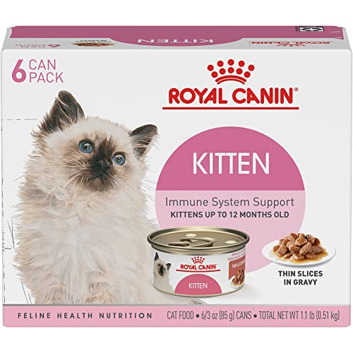 Foto 2 pulgar | Comida Enlatada Para Gatos Royal Canin Feline Health Nutrition Kitten 9 - Venta Internacional.