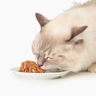 Foto 2 | Comida Húmeda Para Gatos Catit Fish Dinner, Salmón Y Judías Verdes, 100 G - Venta Internacional.