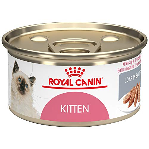 Foto 2 pulgar | Comida Enlatada Para Gatos Royal Canin Feline Health Nutrition Kitten - Venta Internacional.