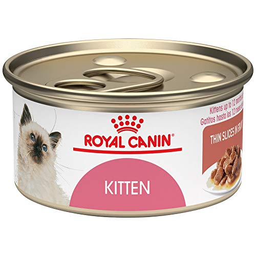 Foto 2 pulgar | Comida Enlatada Para Gatos Royal Canin Feline Health Nutrition Kitten - Venta Internacional.