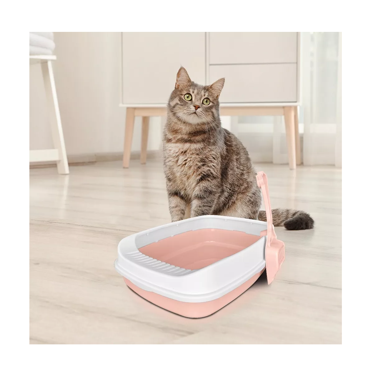 Foto 2 | Arenero Grande Para Gato Con Pala Eo Safe Imports Esi-16482 Multicolor