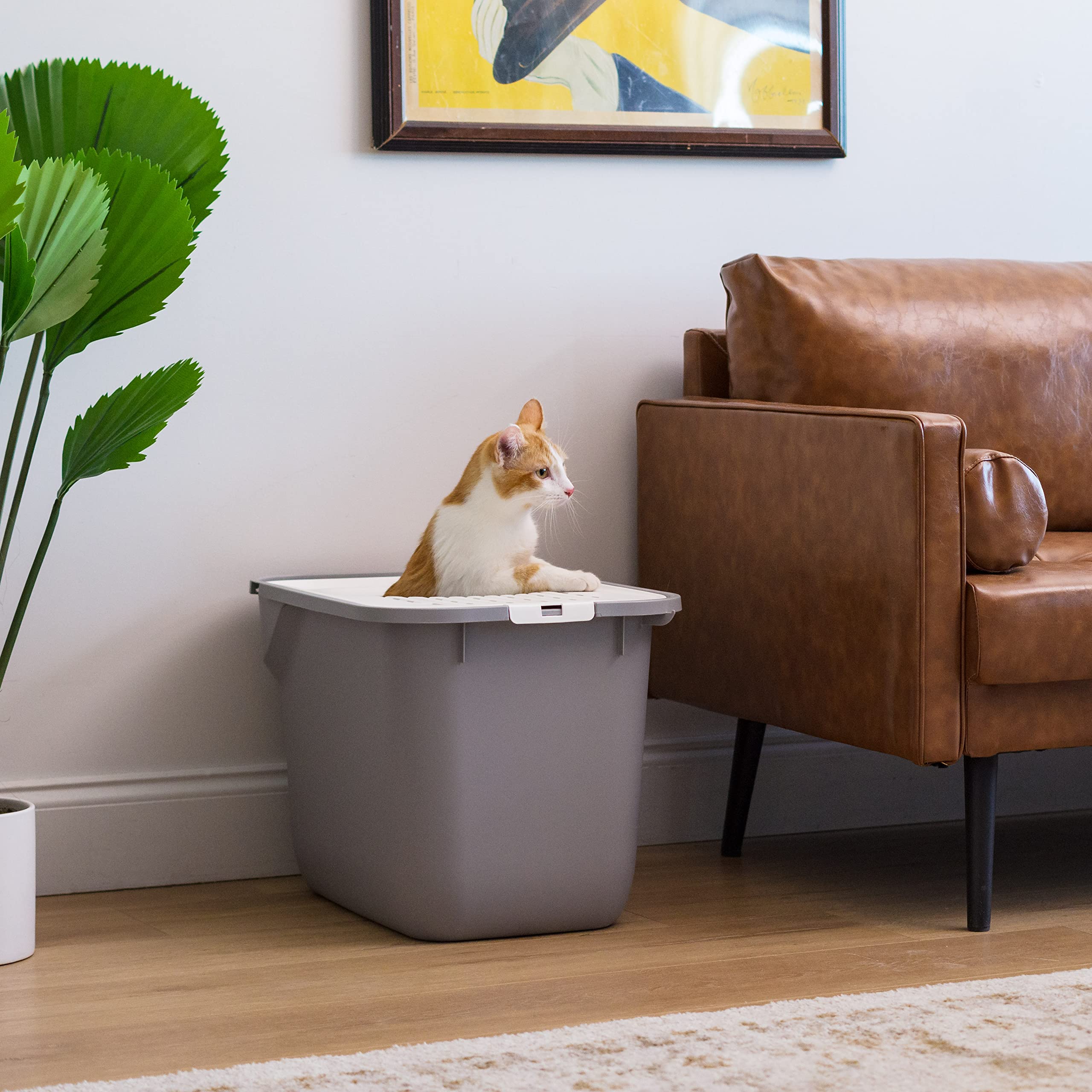 Foto 5 pulgar | Caja De Arena Para Gatos Iris Usa Con Entrada Superior Grande, Gris Y Blanco - Venta Internacional.