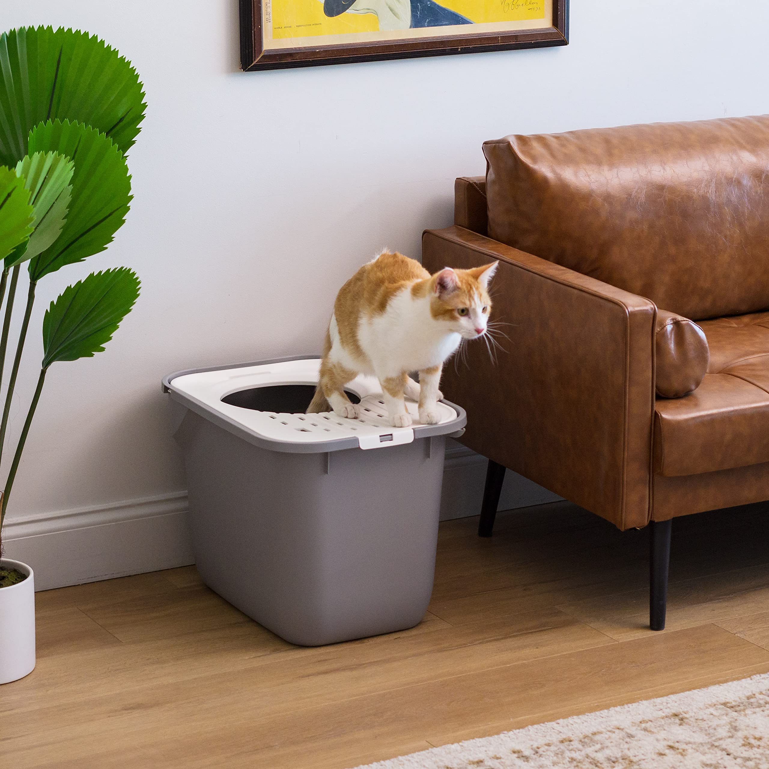 Foto 6 pulgar | Caja De Arena Para Gatos Iris Usa Con Entrada Superior Grande, Gris Y Blanco - Venta Internacional.