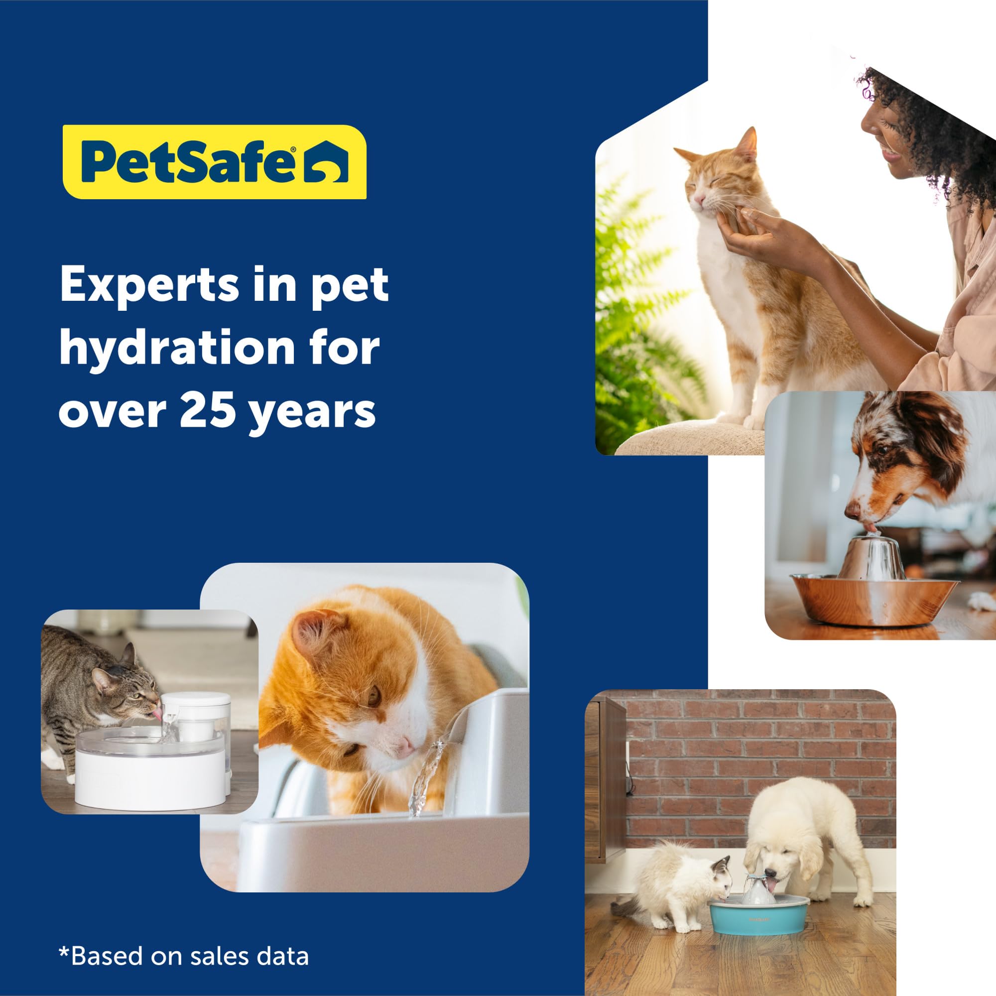Foto 7 pulgar | Recambios Para Bandejas De Arena Para Gatos Petsafe, Sin Cuchara, Cristal (paquete De 6) - Venta Internacional.