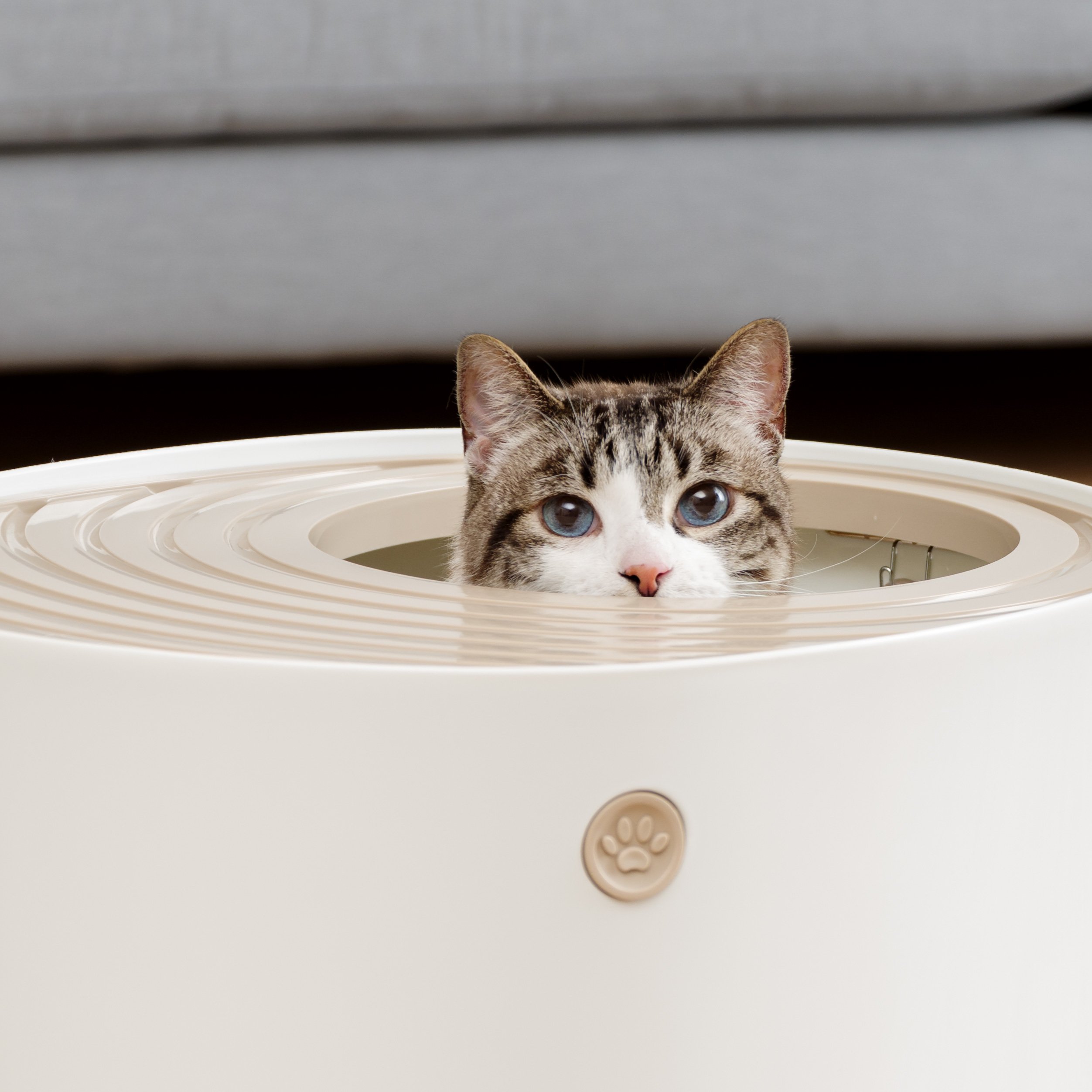 Foto 4 | Caja De Arena Para Gatos Iris Usa, Entrada Superior Con Cuchara, Blanco/beige - Venta Internacional.