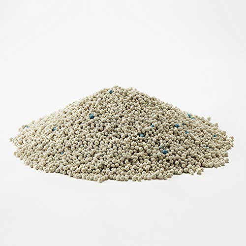Foto 8 pulgar | Litter Training Litter Kaytee Premium, 3,6 Kg, Para Hurones Y Más - Venta Internacional.
