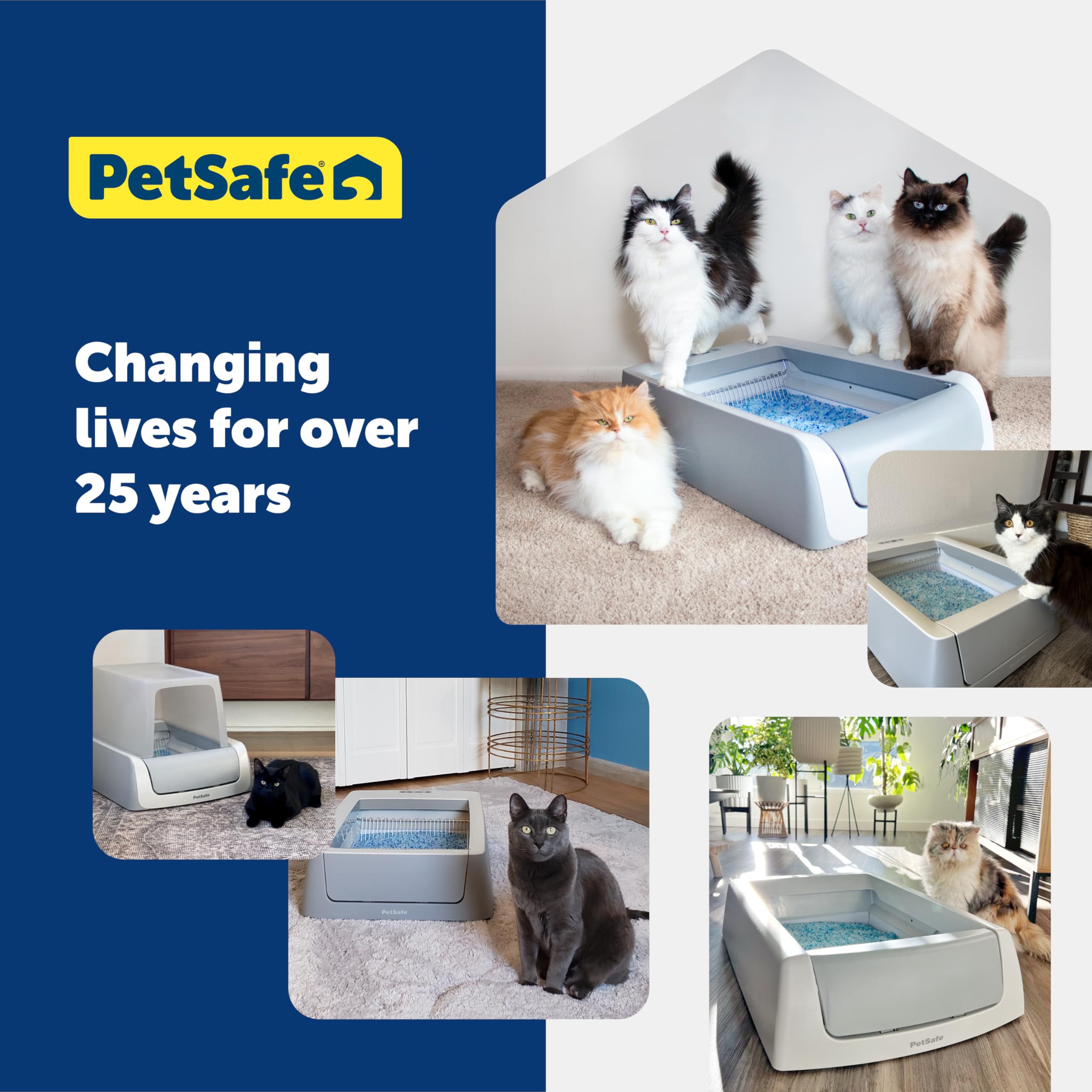 Foto 8 pulgar | Arena Para Gatos Petsafe, Sin Cuchara, De Primera Calidad, Azul, No Se Apelmaza - Venta Internacional.