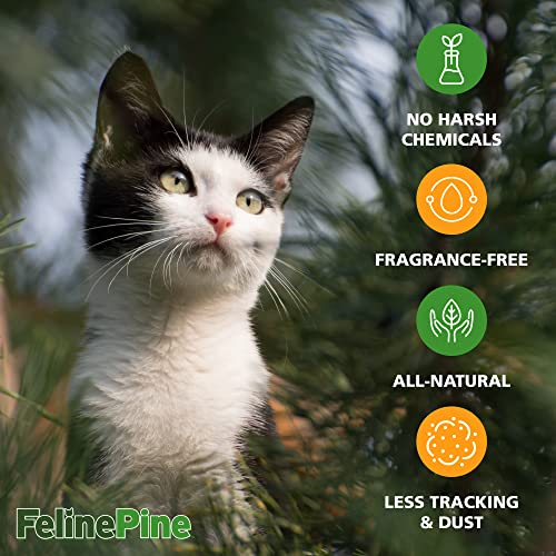 Foto 3 pulgar | Arena Para Gatos Arm & Hammer Feline Pine Platinum Con Bicar - Venta Internacional.