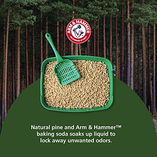 Foto 3 | Arena Para Gatos Arm & Hammer Feline Pine Platinum Con Bicar - Venta Internacional.