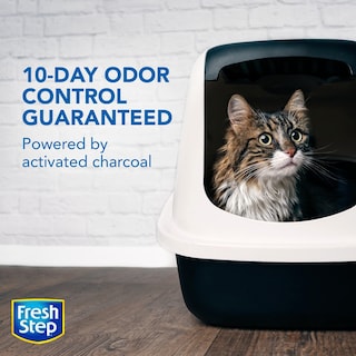Foto 7 | Arena Para Gatos Fresh Step Advanced, Simplemente Sin Perfume, 16,78 Kg - Venta Internacional.