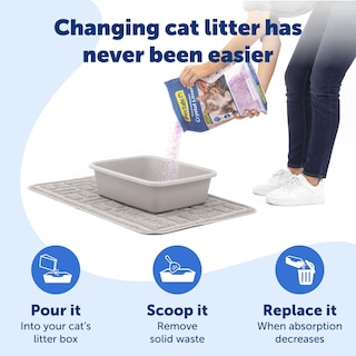 Foto 4 | Arena Para Gatos Petsafe Sin Cuchara De Cristal Control De Olores Bolsa De 3 6 Kg - Venta Internacional.