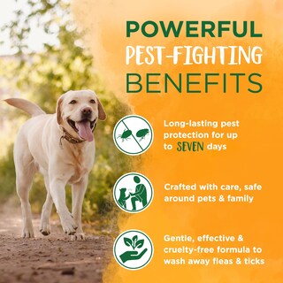 Foto 3 | Champú Y Spray De Ropa De Cama Flea & Tick Max Strength Para Perros - Venta Internacional.