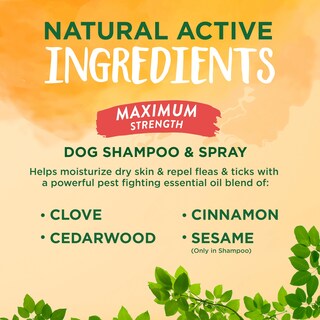 Foto 4 | Champú Y Spray De Ropa De Cama Flea & Tick Max Strength Para Perros - Venta Internacional.