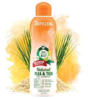 Foto 1 | Champú Tropiclean Natural Flea & Tick De Máxima Resistencia 591 M - Venta Internacional.