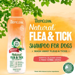 Foto 2 | Champú Tropiclean Natural Flea & Tick De Máxima Resistencia 591 M - Venta Internacional.