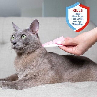 Foto 3 | Tratamiento Antipulgas Y Garrapatas Spot On Adams Plus Para Gatos De Más De 2,3 Kg - Venta Internacional.