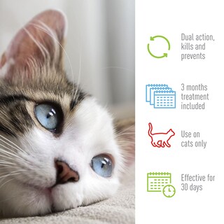 Foto 5 | Tratamiento Antipulgas Y Garrapatas Spot On Adams Plus Para Gatos De Más De 2,3 Kg - Venta Internacional.