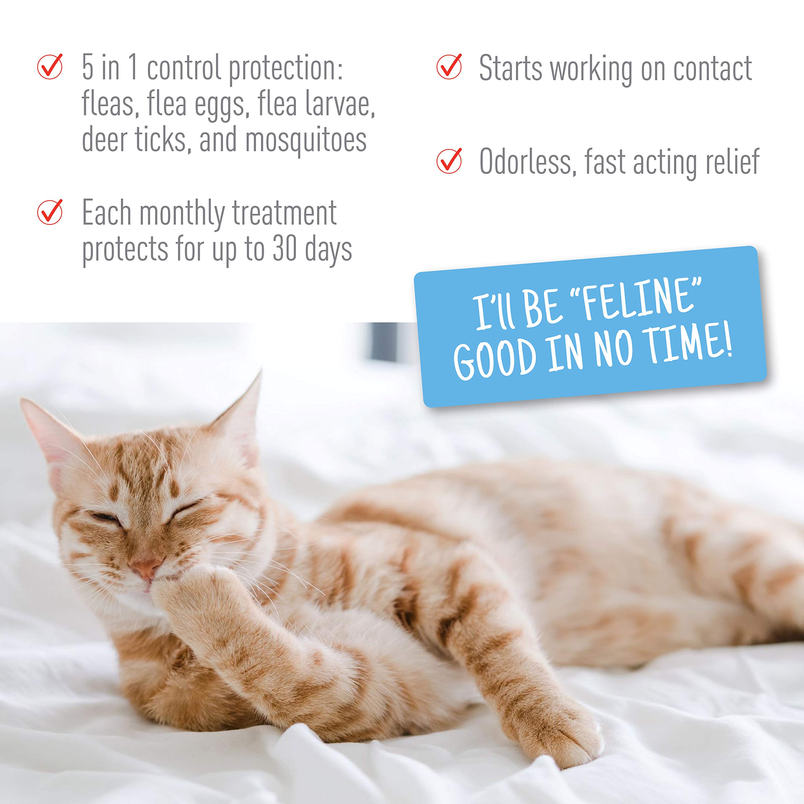Foto 6 | Tratamiento Antipulgas Y Garrapatas Spot On Adams Plus Para Gatos De Más De 2,3 Kg - Venta Internacional.