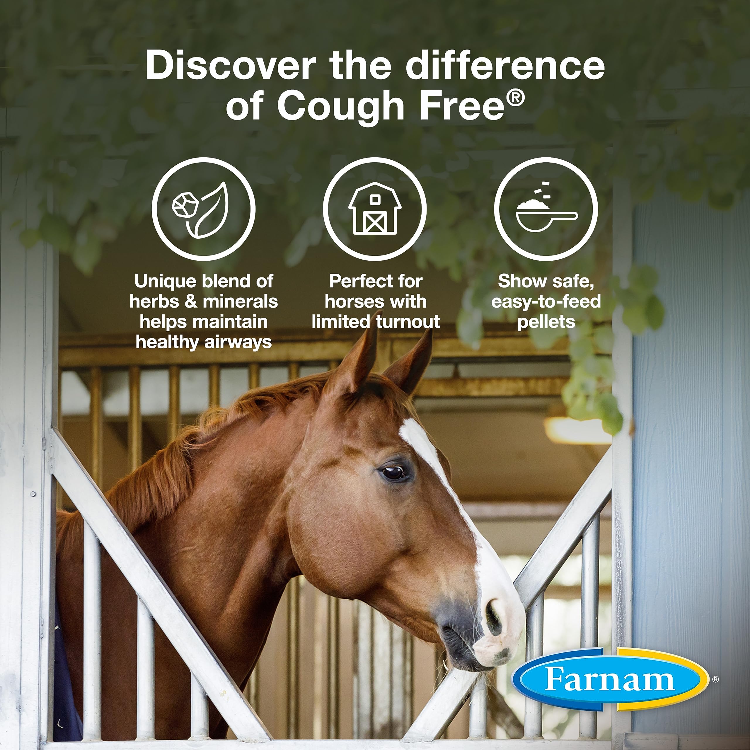 Foto 4 pulgar | Suplemento Farnam Cough Free Horse Cough Cough, 800 G, Suministro Para 48 Días - Venta Internacional.