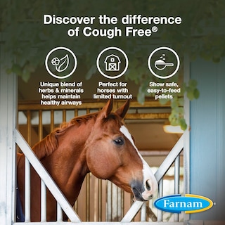 Foto 3 | Suplemento Farnam Cough Free Horse Cough Cough, 800 G, Suministro Para 48 Días - Venta Internacional.