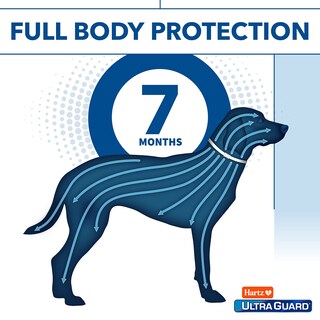 Foto 5 | Collar Antipulgas Y Garrapatas Hartz Ultraguard Para Perros De 7 Meses, Blanco - Venta Internacional.