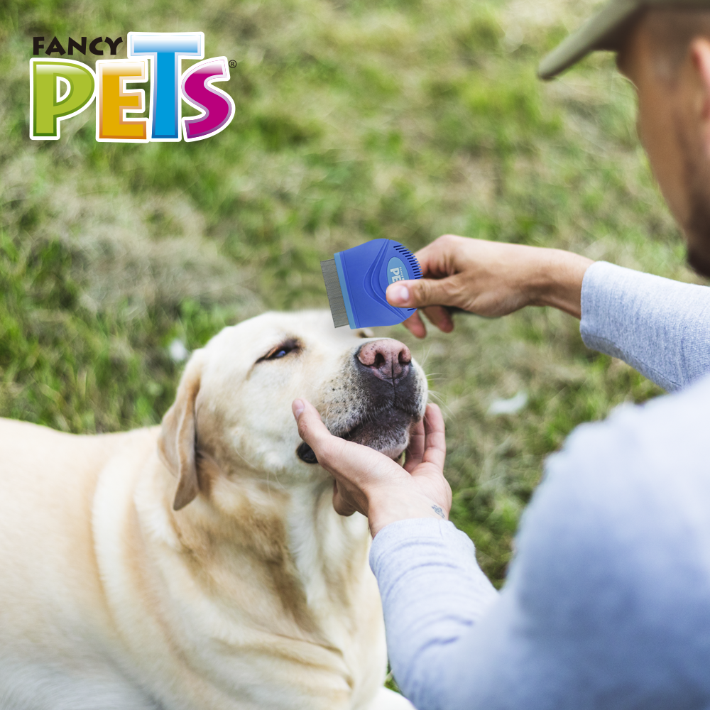 Foto 5 pulgar | Peine Antipulgas Fancy Pets Chico color Azul