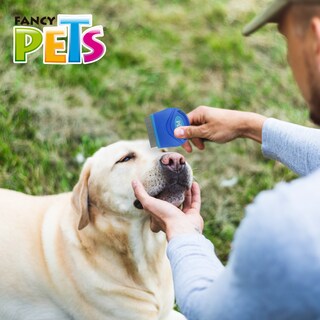 Foto 4 | Peine Antipulgas Fancy Pets Chico color Azul