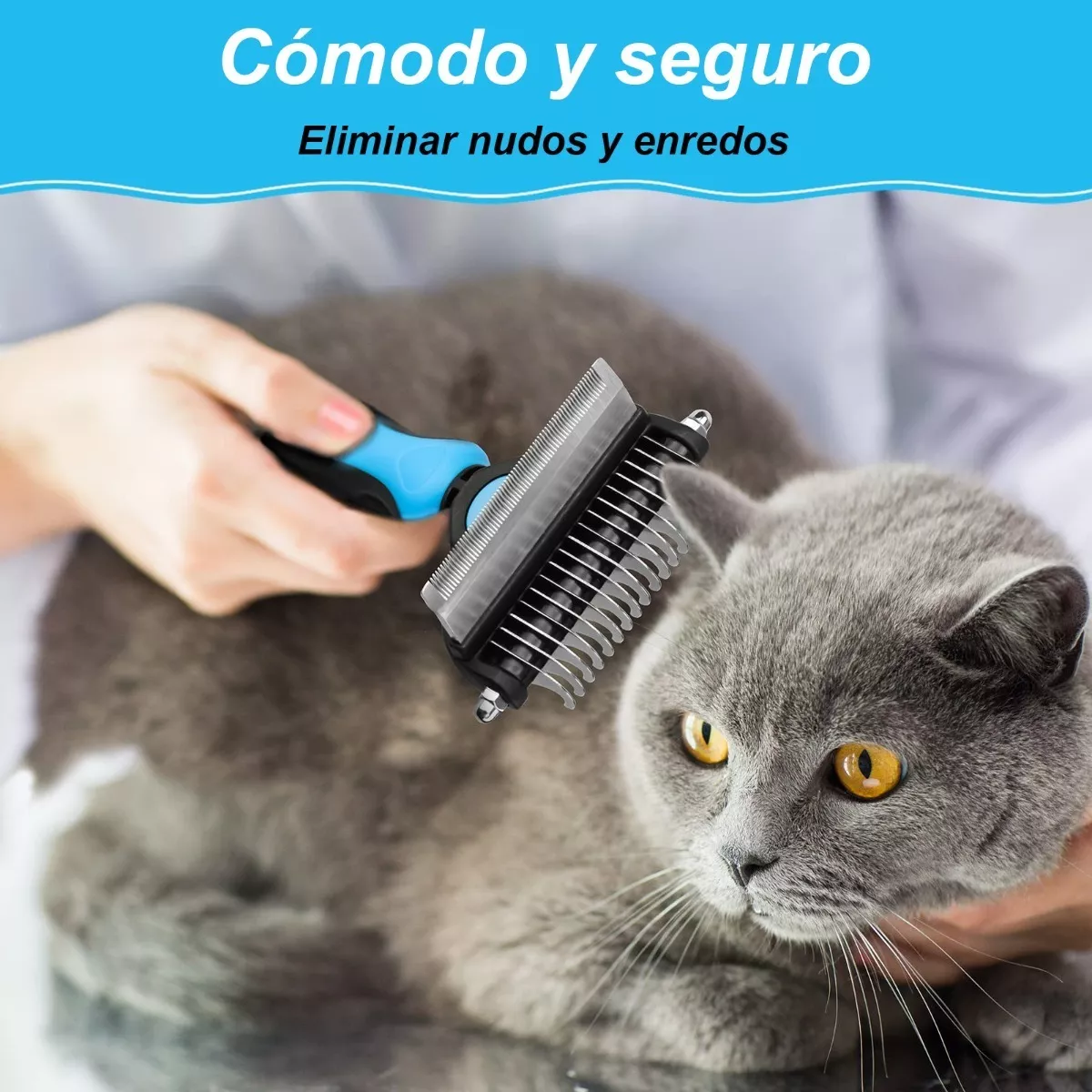 Foto 5 pulgar | Kit Cepillo Deslanador Eo Safe Imports Esi-8003 color Azul para Perro y Gato 6 PZAS