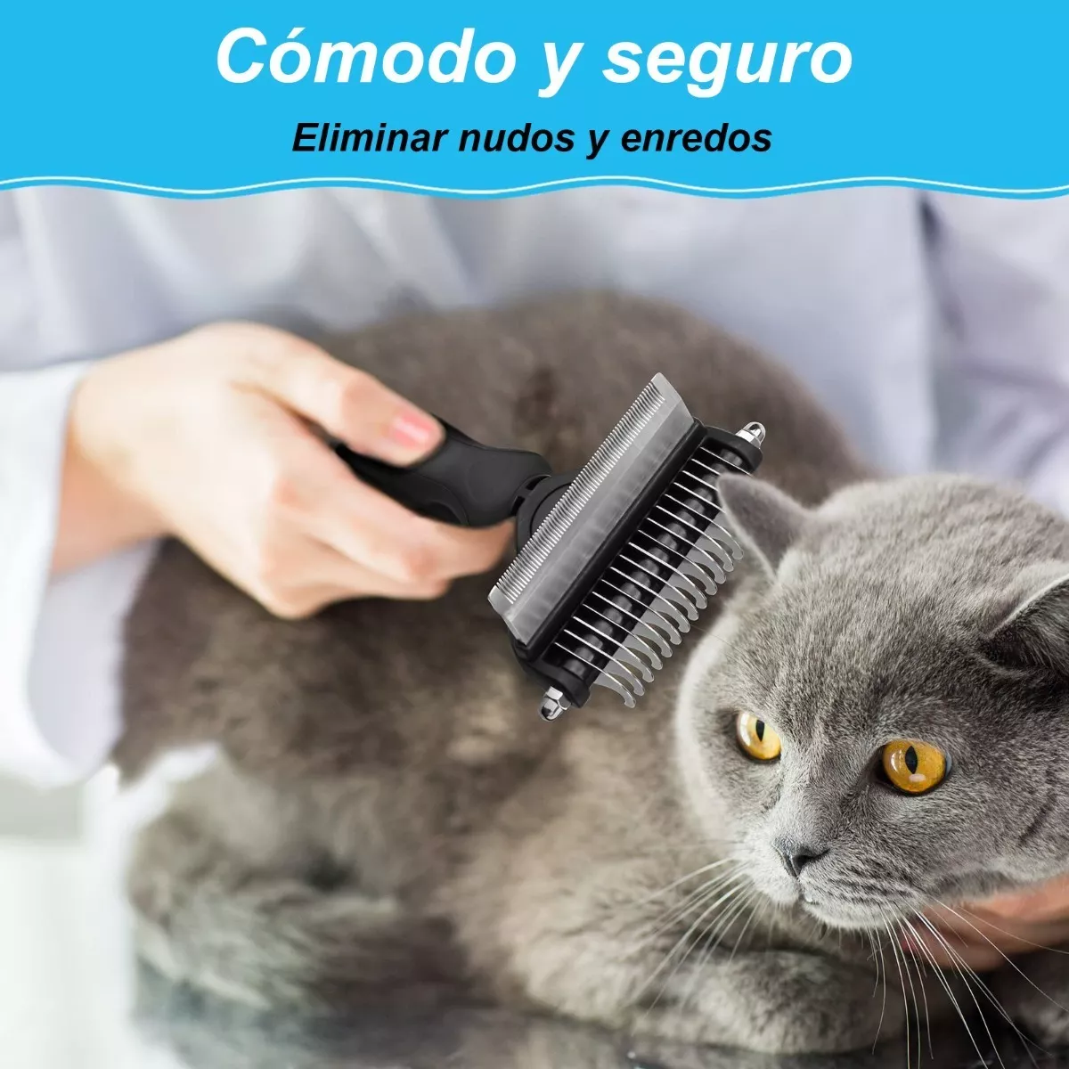 Foto 4 pulgar | Kit Cepillo Deslanador Eo Safe Imports Esi-8004 color Negro para Perro y Gato 6 PZAS