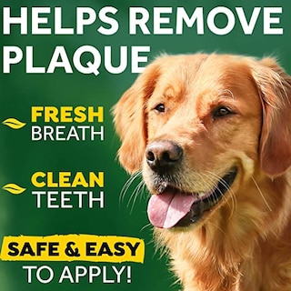 Foto 2 | Venta Internacional- Gel de Aliento para Perros TropiClean