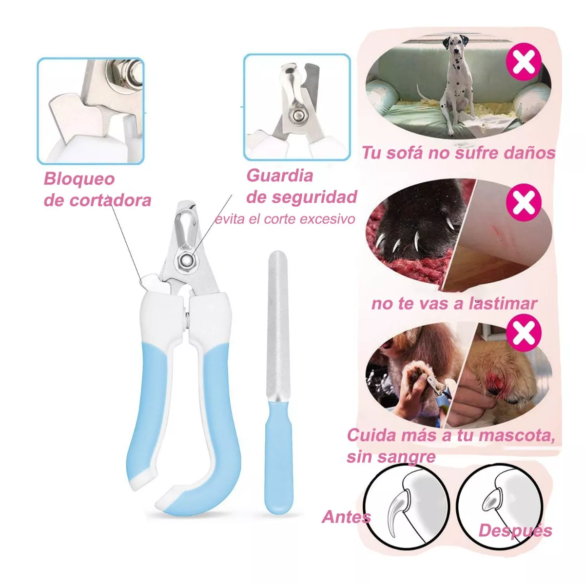 Foto 3 pulgar | Kit Cepillo Deslanador para Perro Eo Safe Imports ESI-12167 Azul 4 Piezas