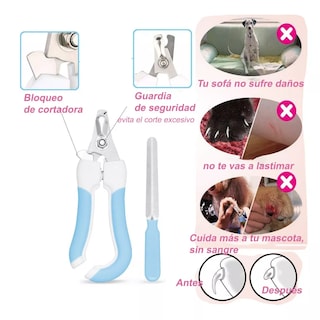 Foto 2 | Kit Cepillo Deslanador para Perro Eo Safe Imports ESI-12167 Azul 4 Piezas