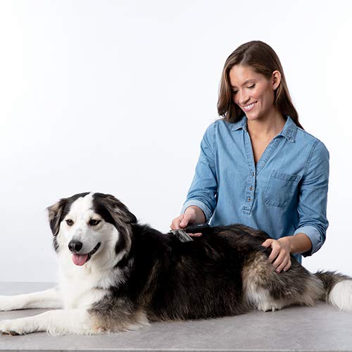 Foto 4 | Peine Desmatting Bissell 25371 Para Perros Y Gatos - Venta Internacional.