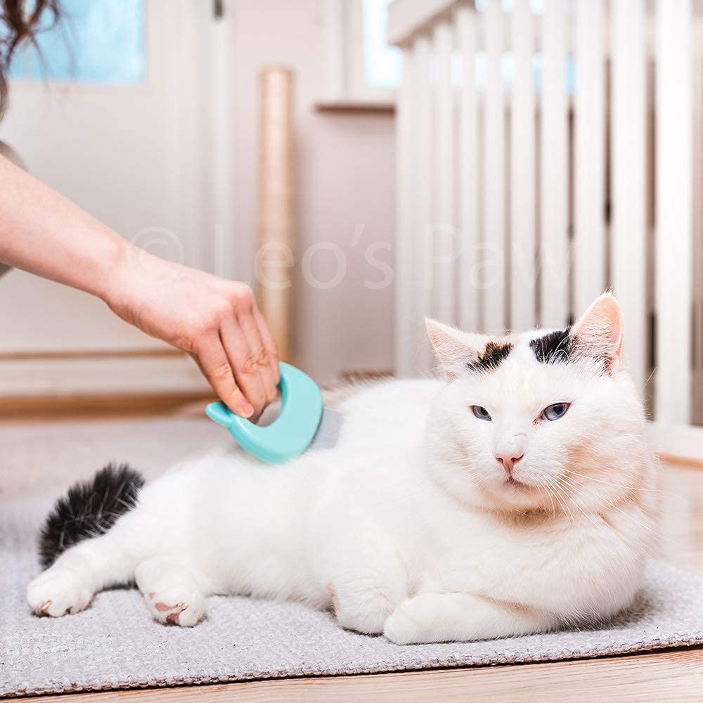 Foto 4 pulgar | Peine De Masaje Depilatorio Para Gatos, Perros Y Conejitos (menta) - Venta Internacional.