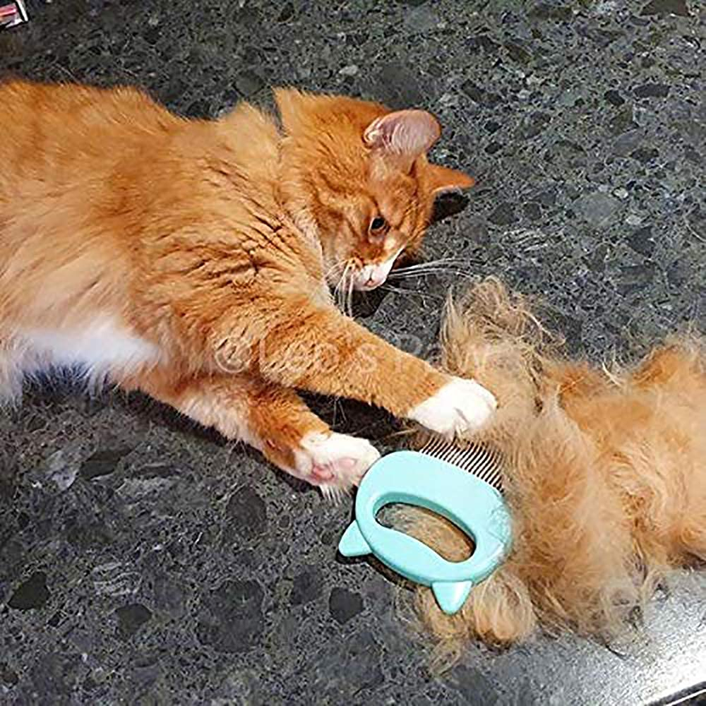 Foto 5 pulgar | Peine De Masaje Depilatorio Para Gatos, Perros Y Conejitos (menta) - Venta Internacional.