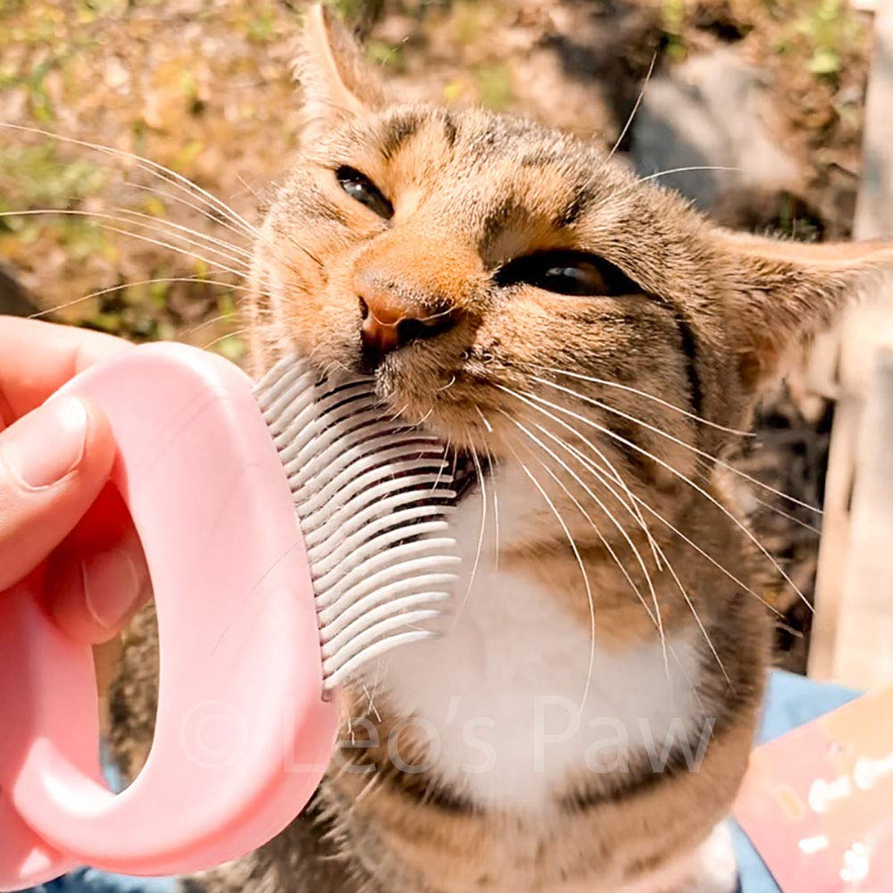 Foto 7 | Peine De Masaje Depilatorio Para Gatos, Perros Y Conejitos (menta) - Venta Internacional.
