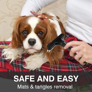 Foto 5 | Pet Grooming Rake Jieyou - Alfileres De Doble Hilera Para Perros Y Gatos - Venta Internacional.
