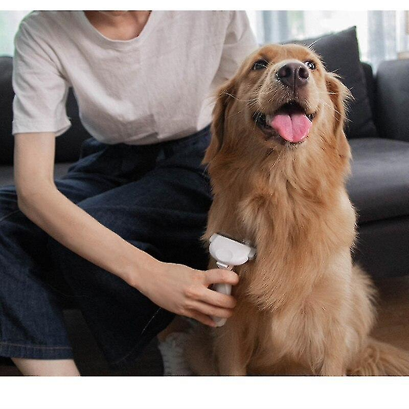 Foto 4 pulgar | Cepillo Depilatorio Para Mascotas Para Perros Y Gatos Huoguo - Venta Internacional.