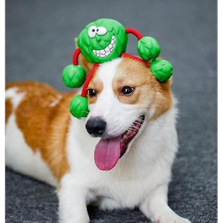 Foto 3 | Pelota De Goma Interactiva Para Perros Huoguo Molar, De Goma, Color Verde - Venta Internacional.