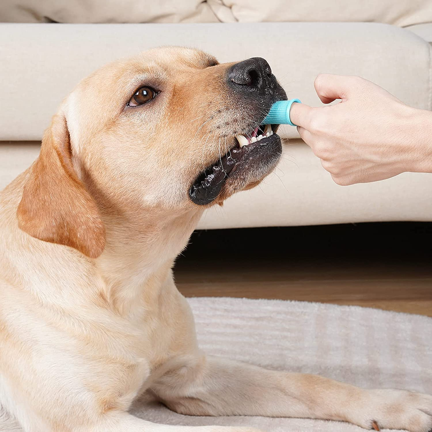 Foto 2 | Cepillo De Dientes Para Perros Jieyou Soft Finger, Juego De 3 - Venta Internacional.