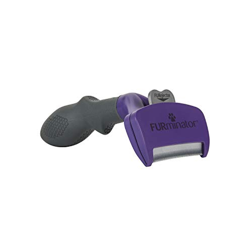 Herramienta De Depilación Furminator Para Gatos Medianos Y Grandes De Pelo Corto - Venta Internacional.