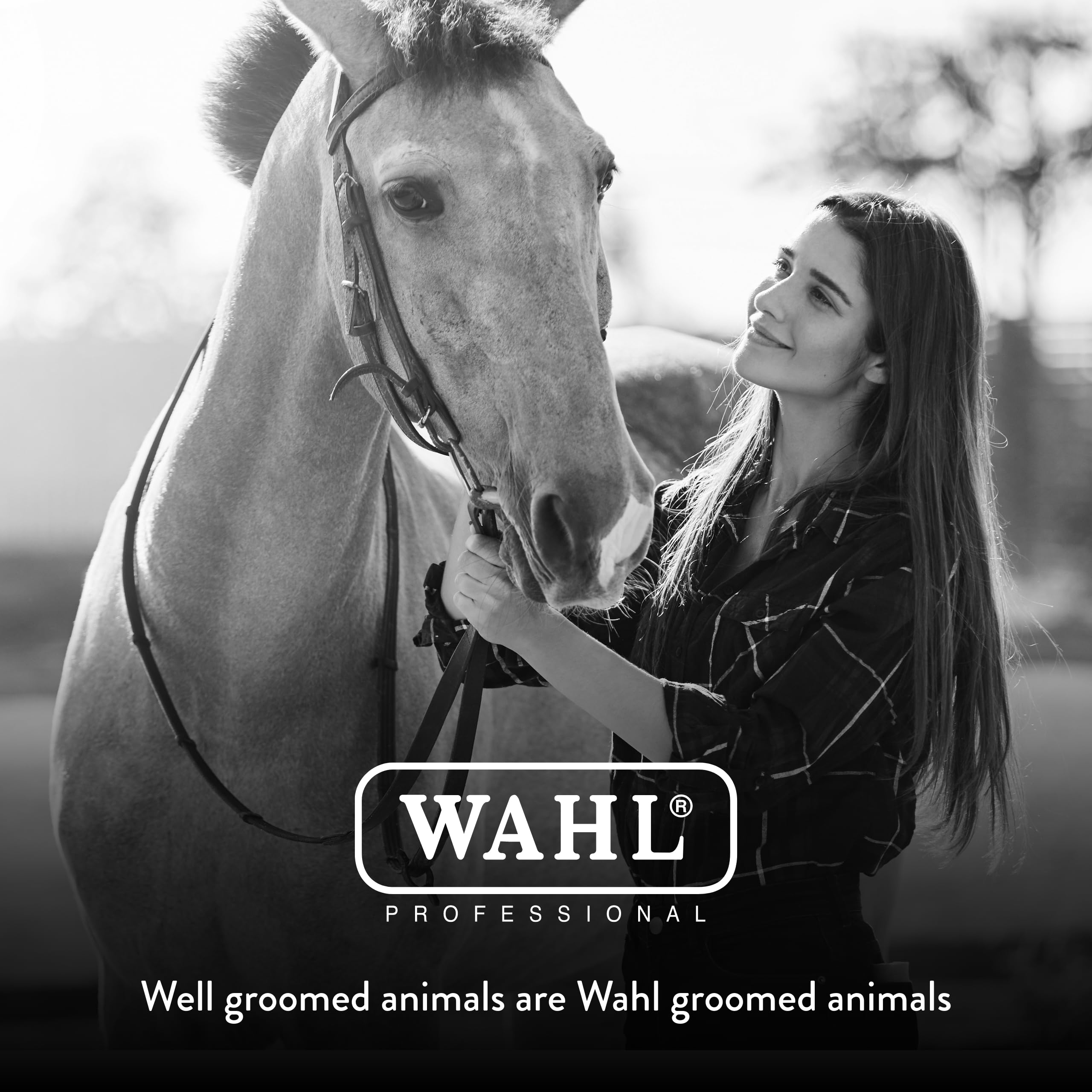 Foto 7 | Horse Brush Wahl, Peluquería Profesional Para Animales Equinos, Melena - Venta Internacional.