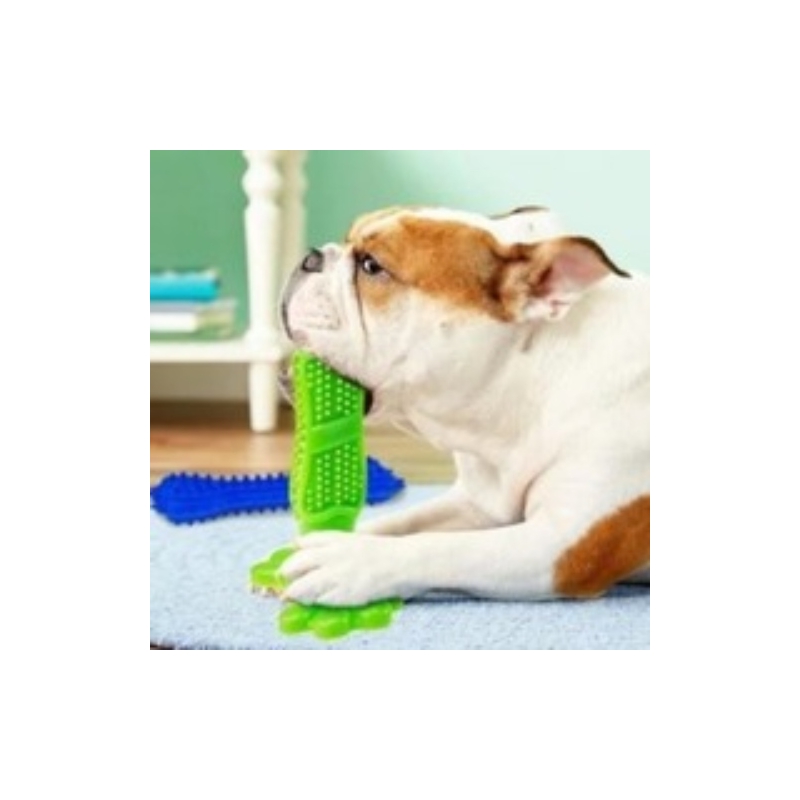 Foto 3 pulgar | Juguete Para Perros, Limpieza Dental Y Masticable, Diseño De Cactus - Venta Internacional.