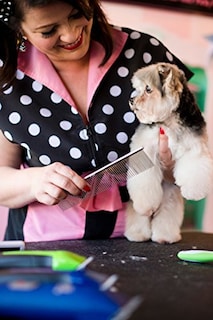 Foto 2 | Peine De Aseo Andis Steel Para Perros Y Gatos De 7.5 Pulgadas - Venta Internacional.