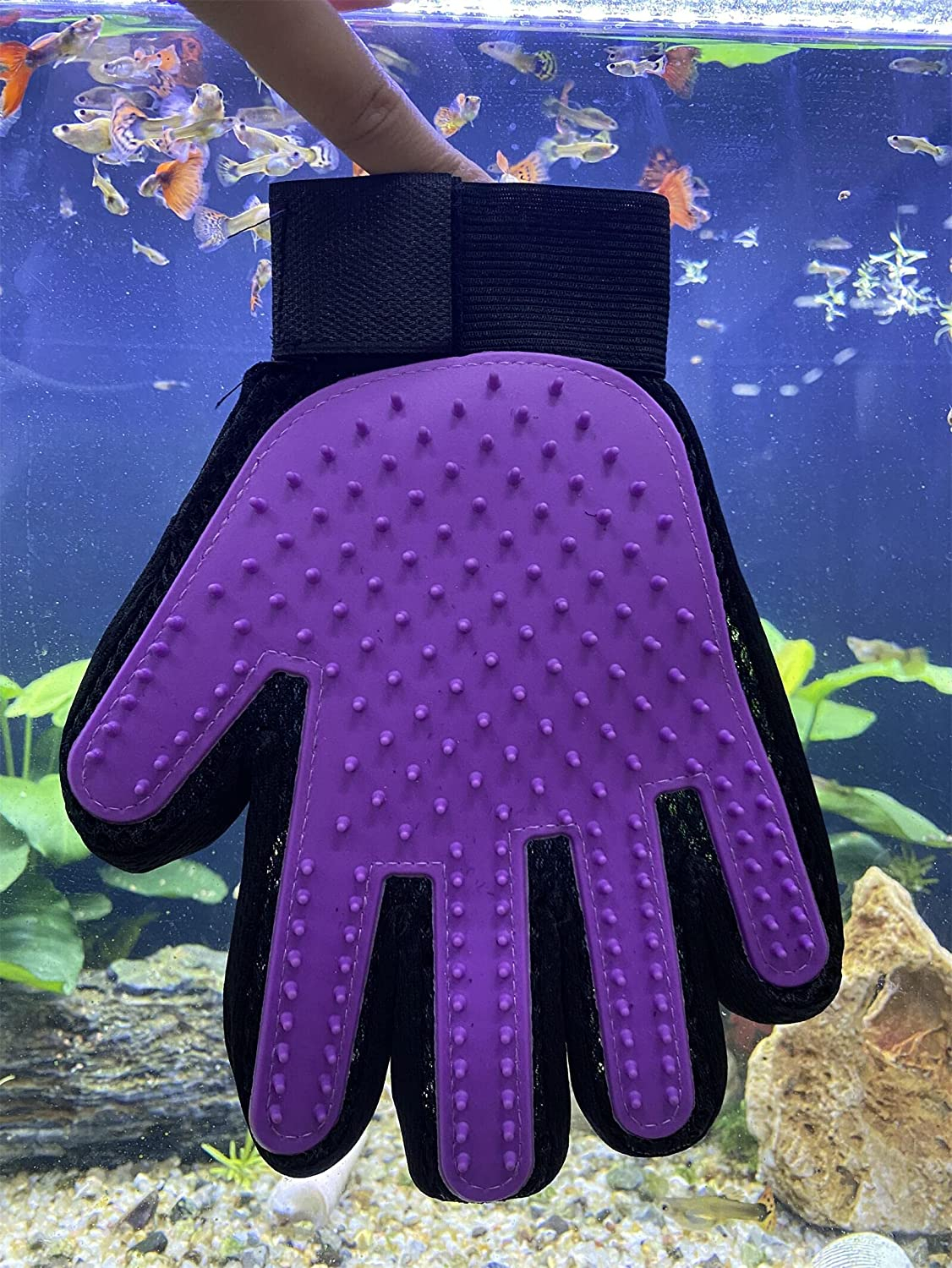 Foto 3 pulgar | Glove De Aseo Para Mascotas Jieyou Gable Cepillo Para Eliminar La Piel De Perros Y  - Venta Internacional.