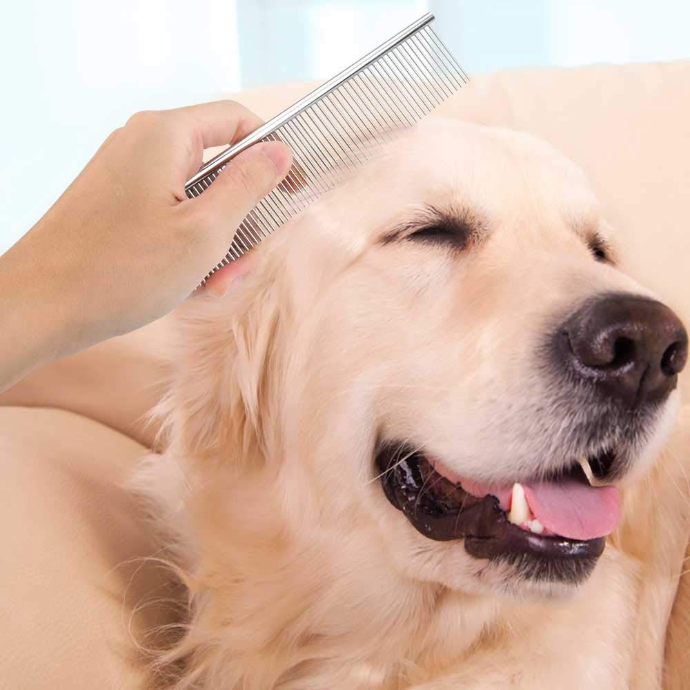 Foto 2 | Peines Para Perros Huoguo, Dientes De Acero Inoxidable, Paquete De 2 - Venta Internacional.